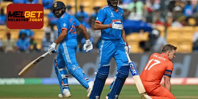 melbet cricket live score