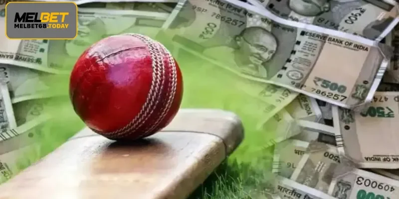 The Key Benefits of Following Professional Cricket Betting Tips
